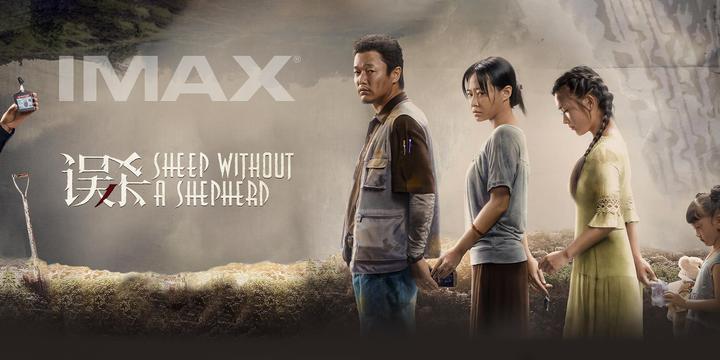 误杀IMAX电影海报横版