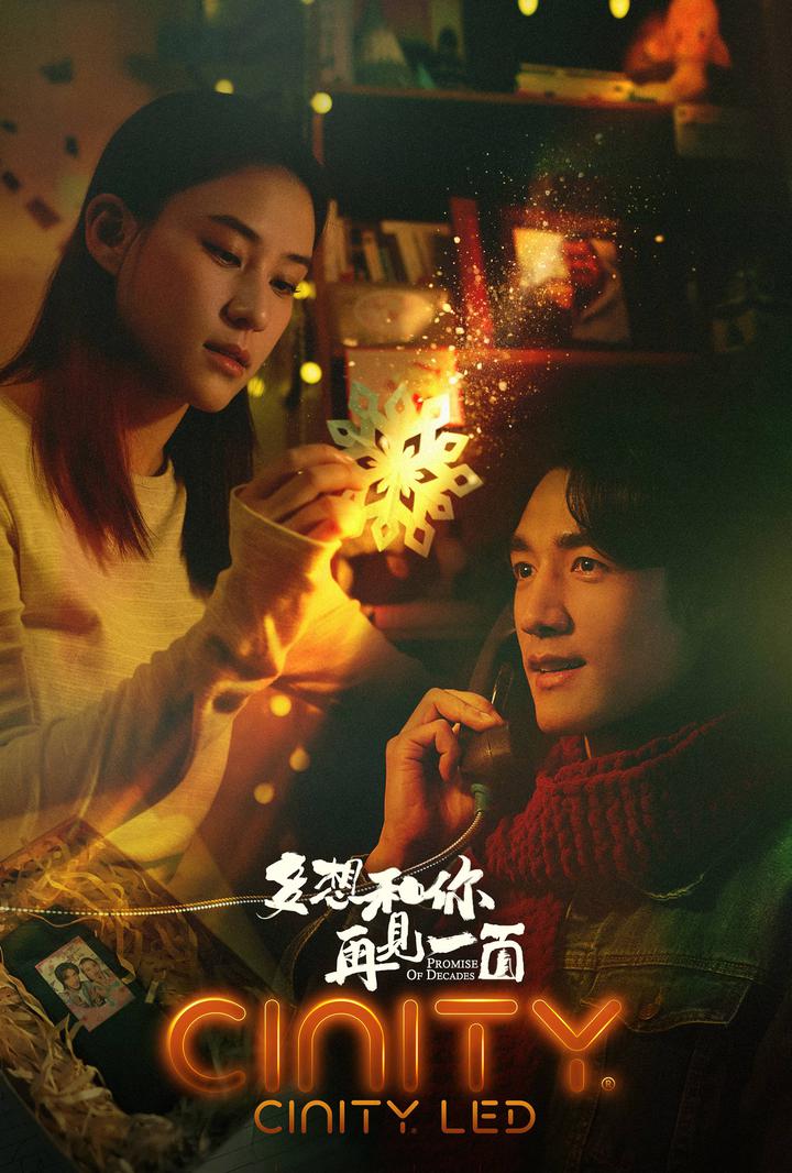 多想和你再见一面电影海报