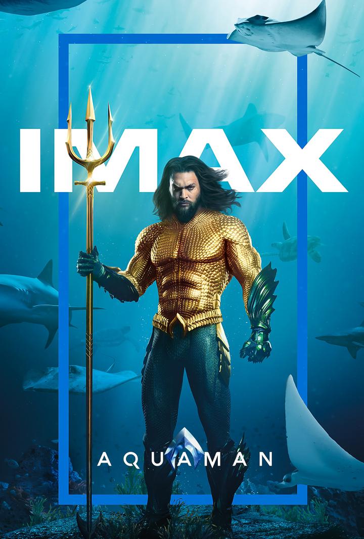 海王IMAX电影海报