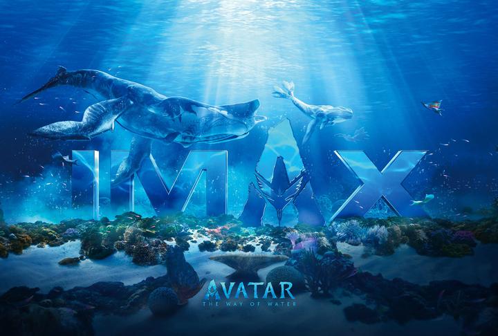 阿凡达：水之道IMAX电影海报横版