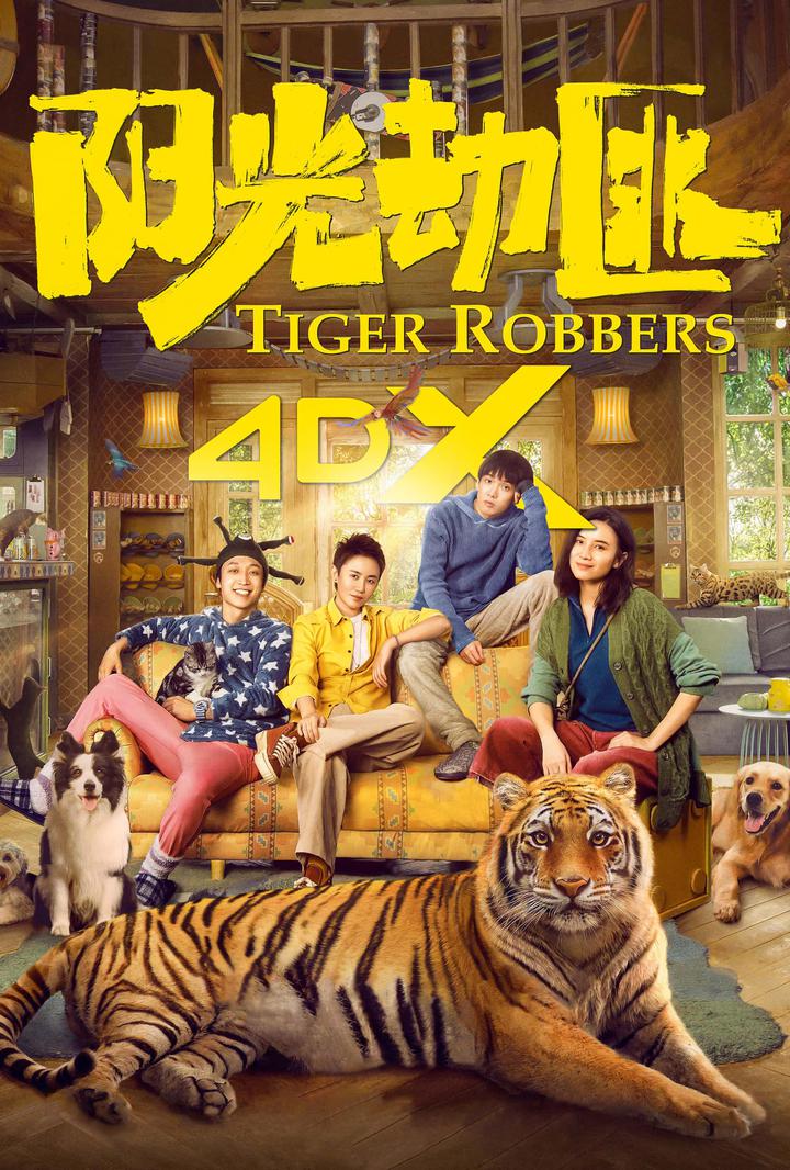 阳光劫匪电影海报