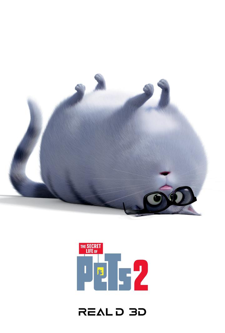 爱宠大机密2电影海报
