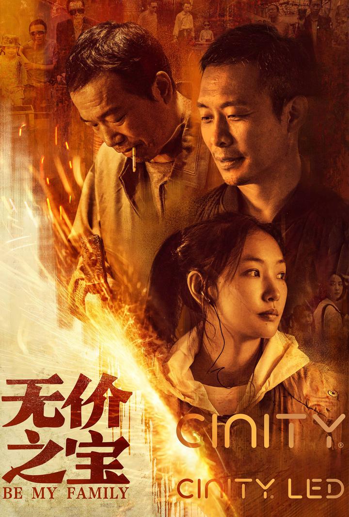 无价之宝电影海报