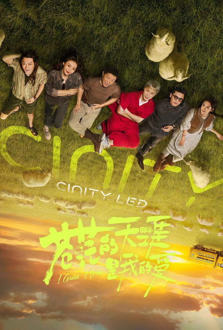 苍茫的天涯是我的爱电影海报