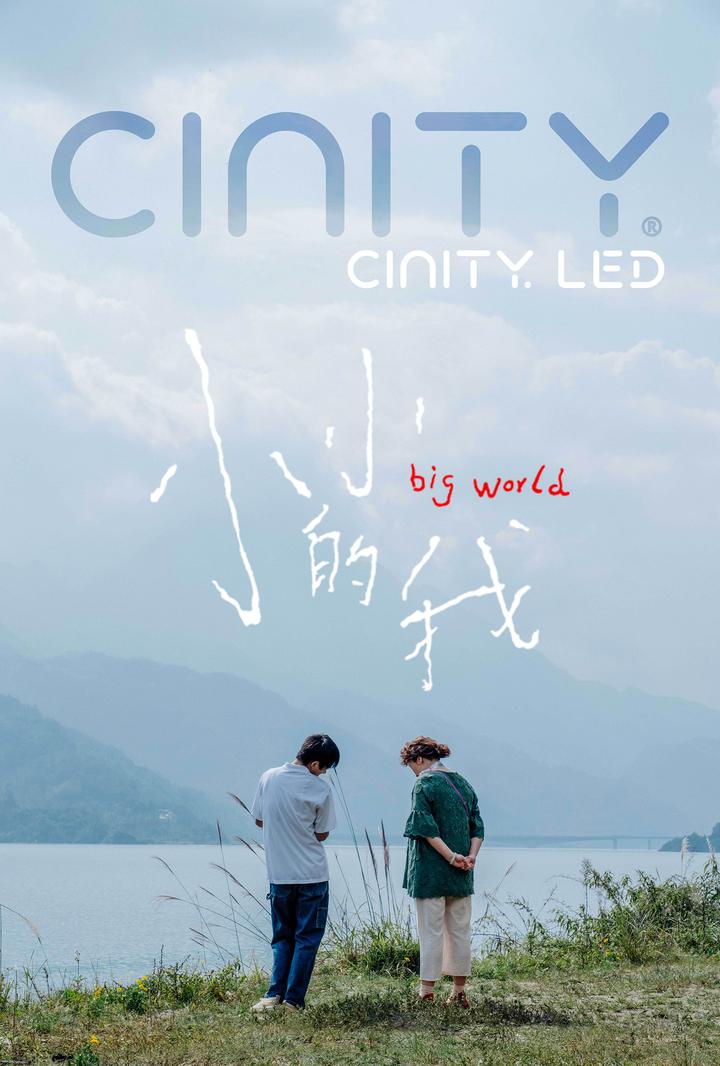 小小的我电影海报