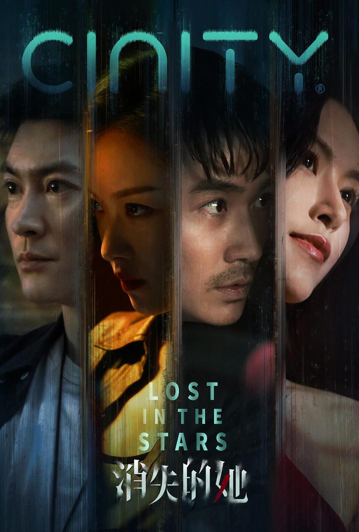 消失的她电影海报