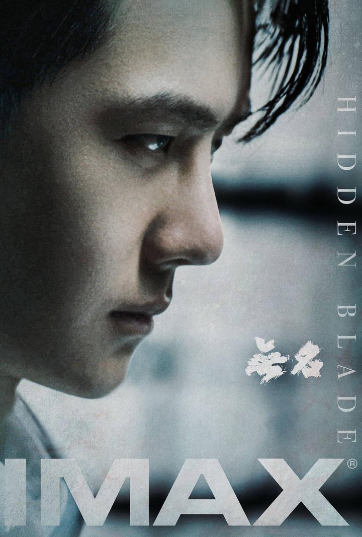 无名IMAX电影海报