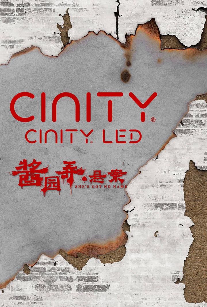 酱园弄·悬案电影海报