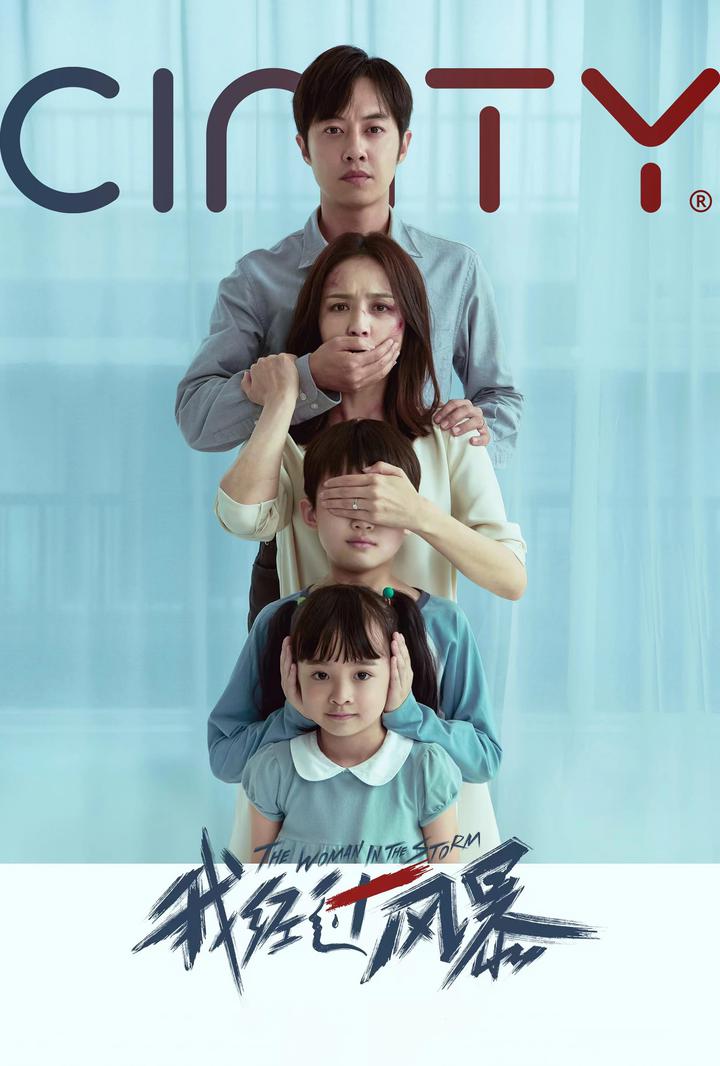 我经过风暴电影海报