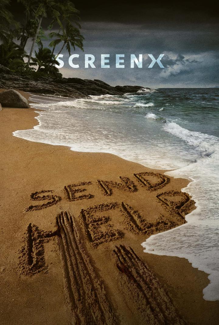 请求救援电影海报