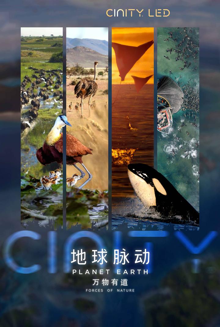 地球脉动：万物有道电影海报