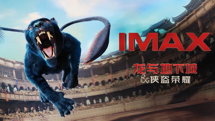龙与地下城：侠盗荣耀IMAX电影海报横版