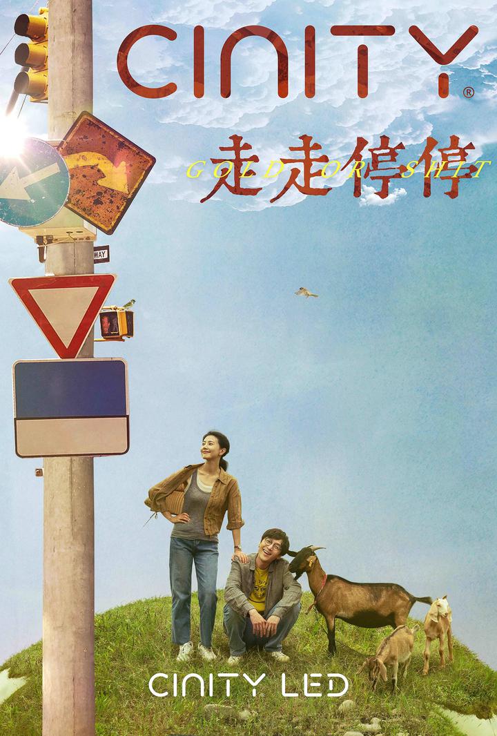 走走停停电影海报