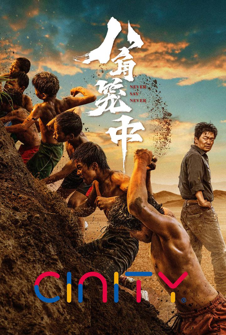 八角笼中电影海报