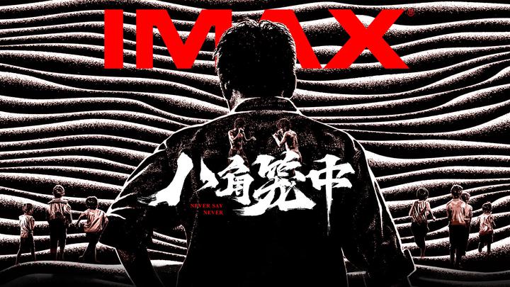 八角笼中IMAX电影海报横版