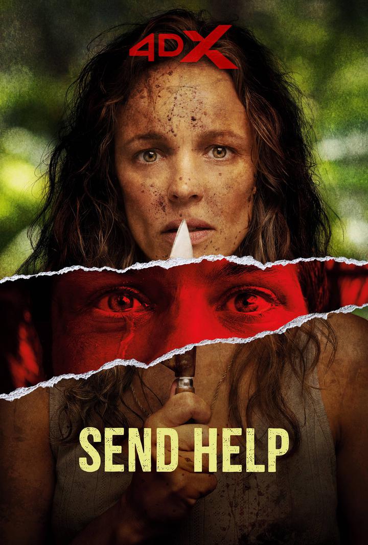 请求救援电影海报