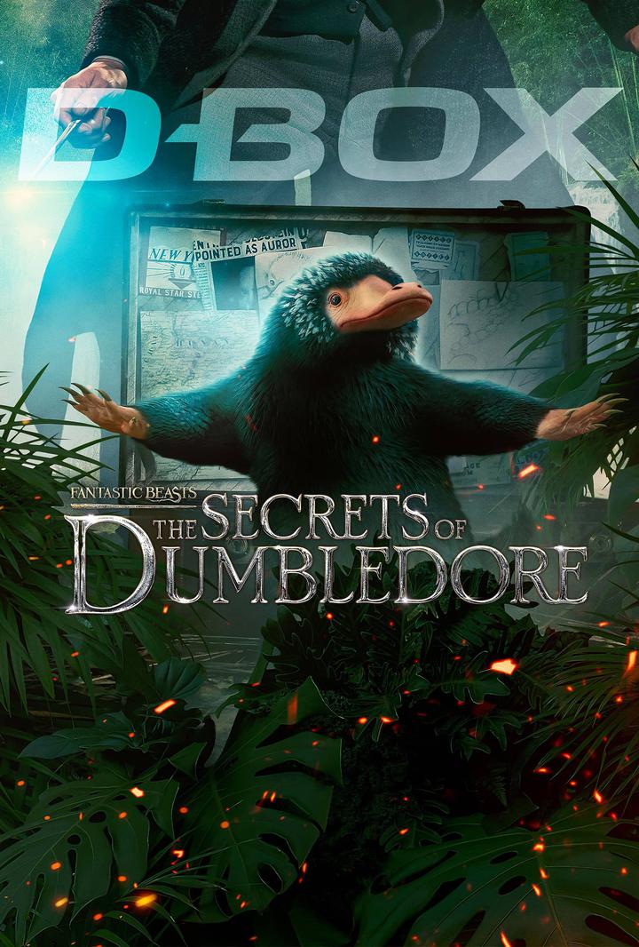 神奇动物：邓布利多之谜电影海报