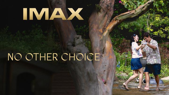 无可奈何IMAX电影海报横版