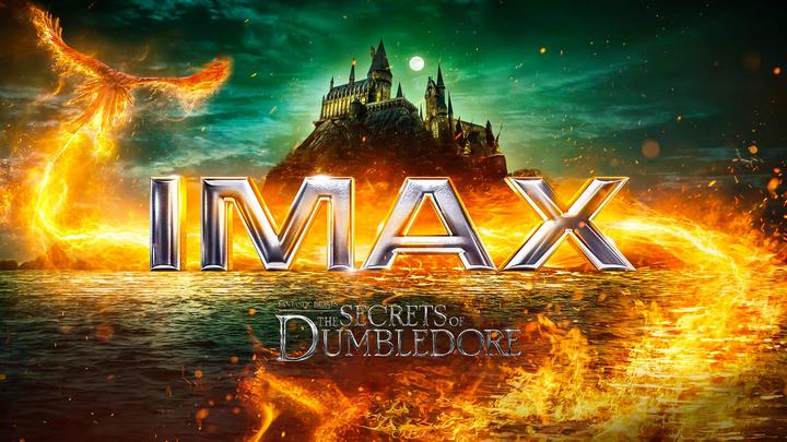 神奇动物：邓布利多之谜IMAX电影海报横版