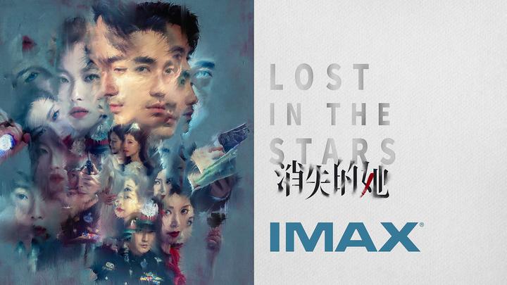 消失的她IMAX电影海报横版