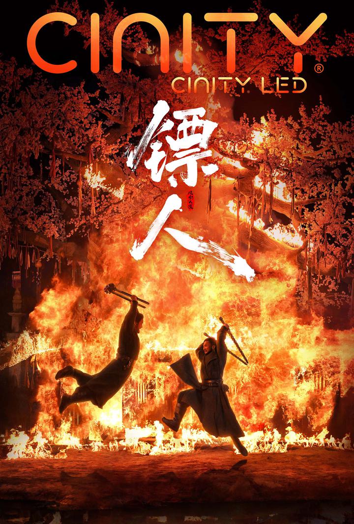 镖人：风起大漠电影海报