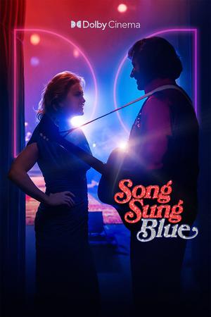 蓝调之歌杜比影院海报